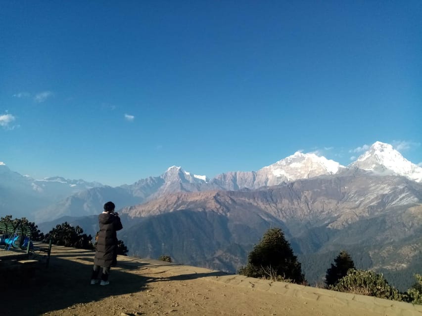 From Pokhara: 2 Day 1 Night Poon Hill Premium Trek