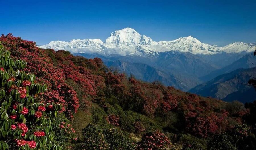 2 Best 4 Day Tours In Phedi