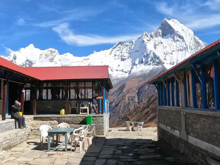 From Pokhara: 7 Day Annapurna Base Camp Private Trek - Trek Overview and Highlights