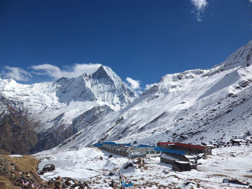 From Pokhara: Budget 5 Day Annapurna Basecamp Trek - Trek Overview and Highlights