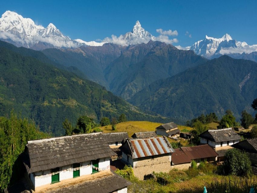 From Pokhara: Guided Tour to Visit 4 Himalayas View Point