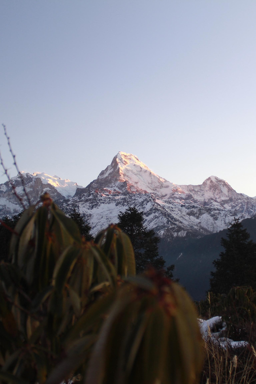 From Pokhara Short: 1 Night 2 Day Ghorepani Poon Hill Trek - Overview of the Trek