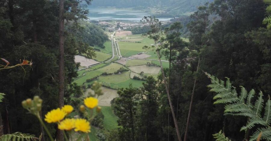 From Ponta Delgada: Sete Cidades Walk, Tasting and Kayaking