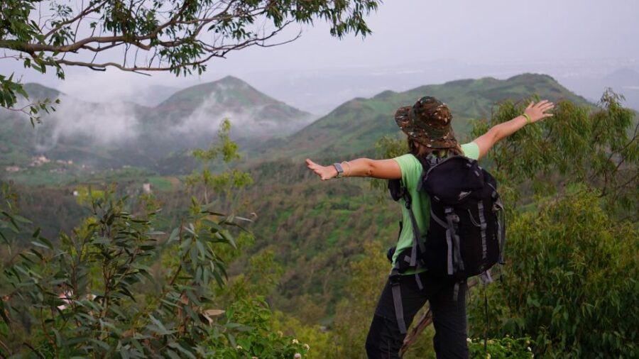 From Ponta Do Sol: Full-Day Nature Hike With a Guide