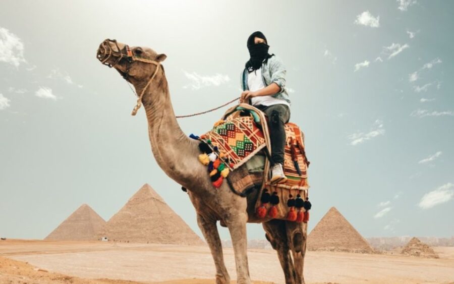 From Port Said: Cairo and Giza Pyramids Private Day Tour - Tour Overview and Pricing