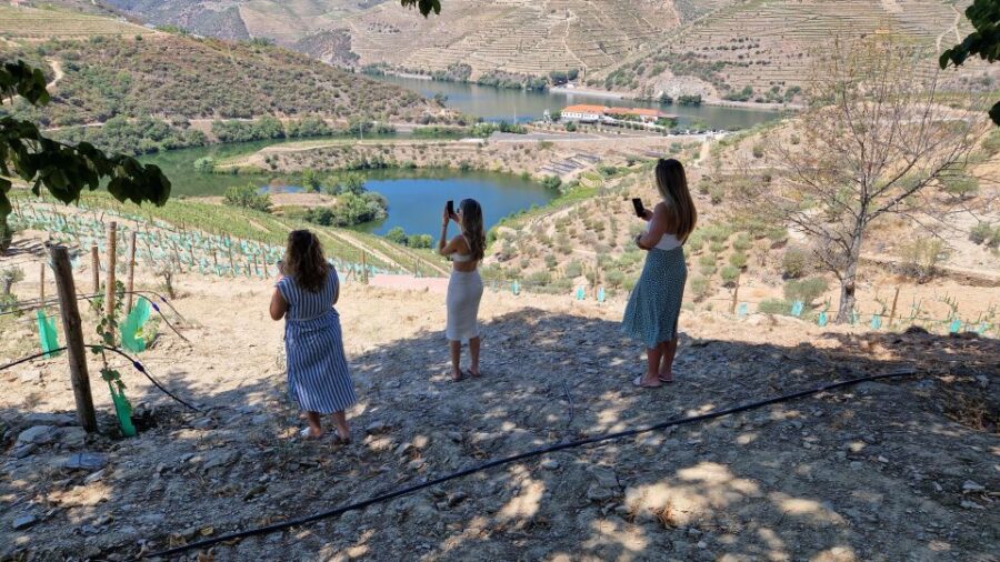 From Porto Day Douro Valley Wine Tour 2 Wineries & Lunch