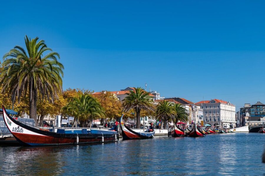 From Porto: Full Day Tour Coimbra/Aveiro All Included
