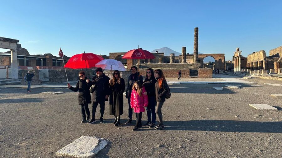 From Positano: Pompeii, Vesuvius, & Wine Tasting With Lunch