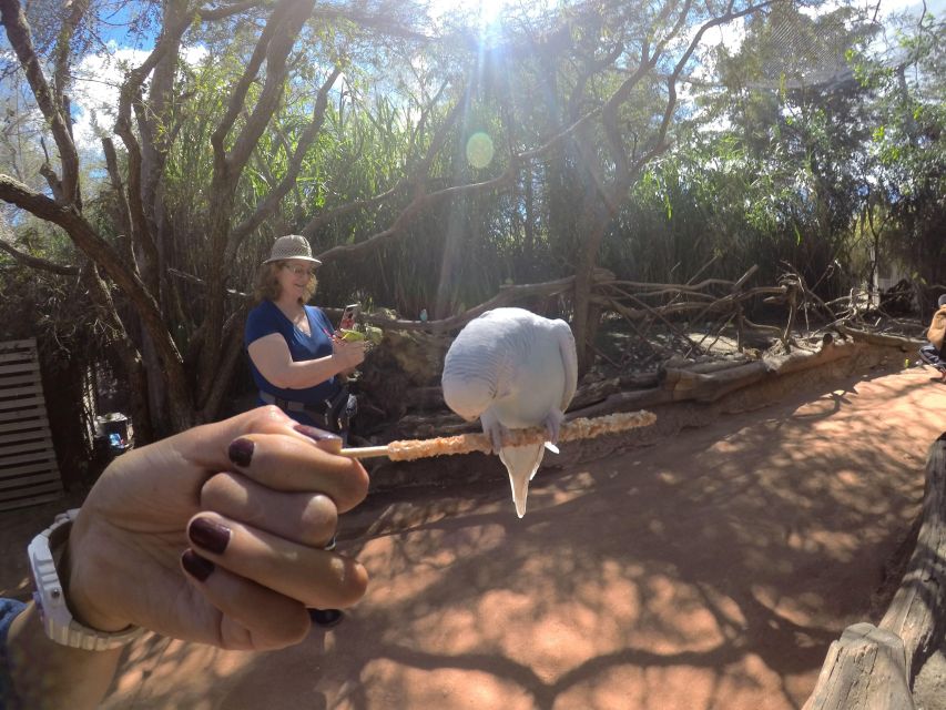 From Puebla: 5-Hour Africam Safari Private Tour - Tour Overview