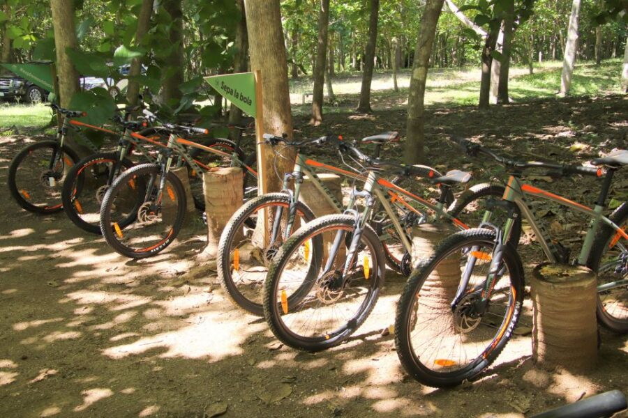 From Puerto Vallarta: Jungle Mountain Bike Tour - Tour Overview