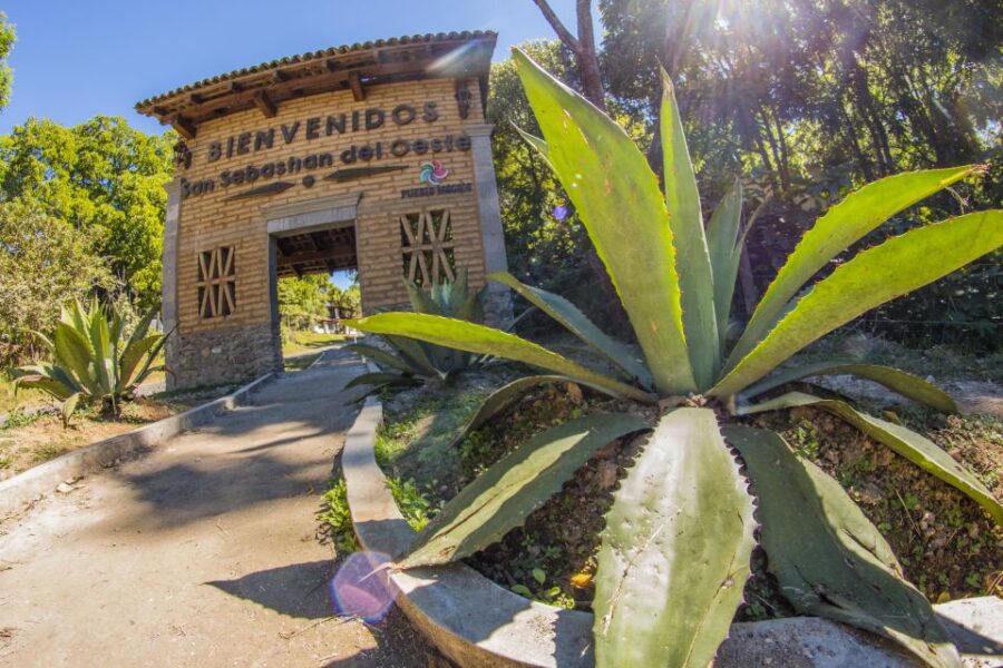 18 Best Guided Tours In Puerto Vallarta