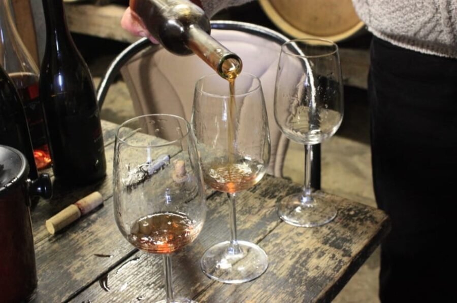 From Pula or Rovinj: Istrian Wine Express Tour