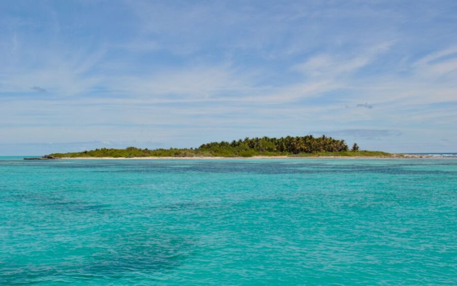 From Riviera Maya: Day Tour to Contoy and Isla Mujeres