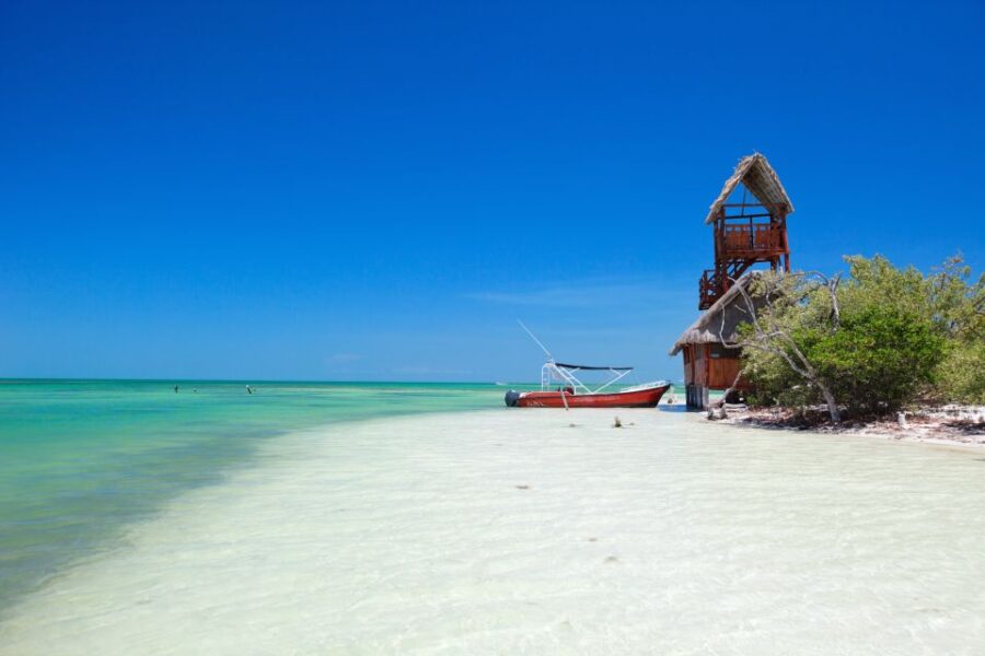 From Riviera Maya: Holbox Full-Day Tour With Lunch - Tour Overview
