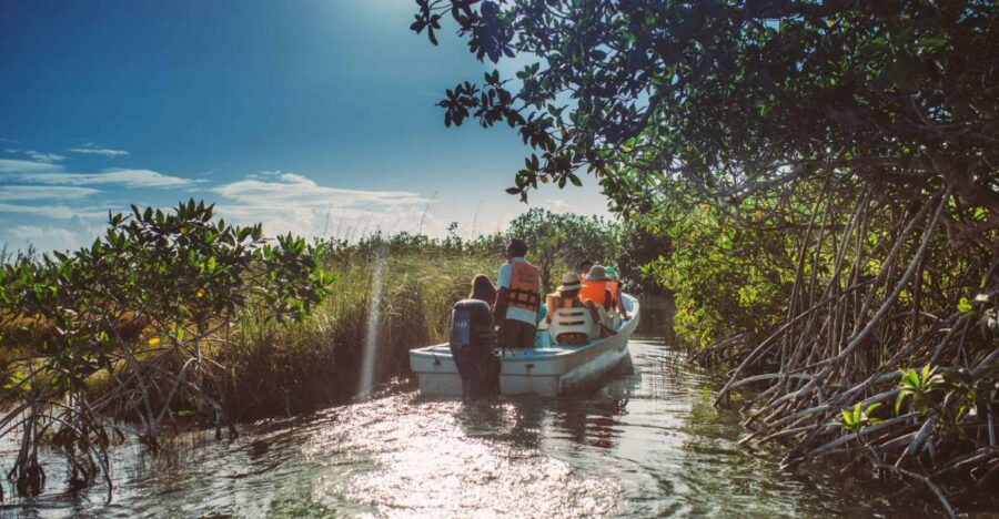 From Riviera Maya: Mayan Ruins & Sian Kaan Reserve Tour