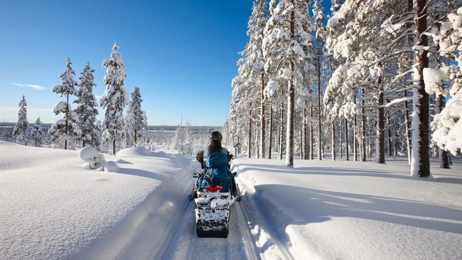 From Rovaniemi: 2-Hour Lapland Wilderness Snowmobile Safari
