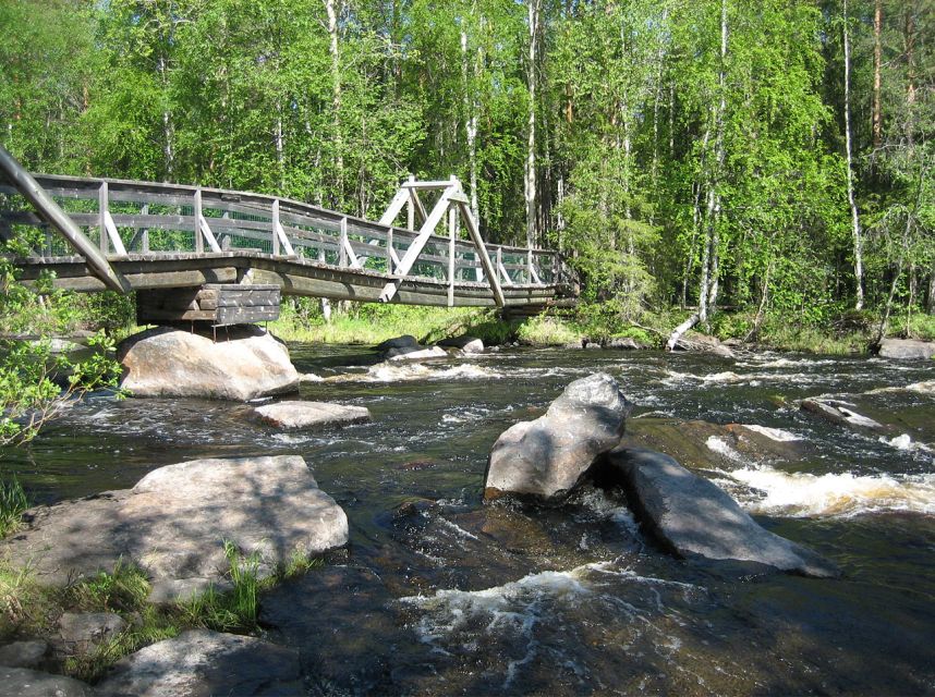 From Rovaniemi: Vikaköngäs Forest Hiking Tour With BBQ