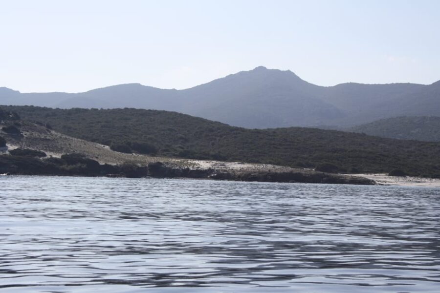 From Saint-Florent: Boat Transfer to Saleccia or Lotu Beach
