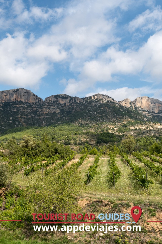 From Salou: 4×4 Route From Cornudella to Falset & Gratallops