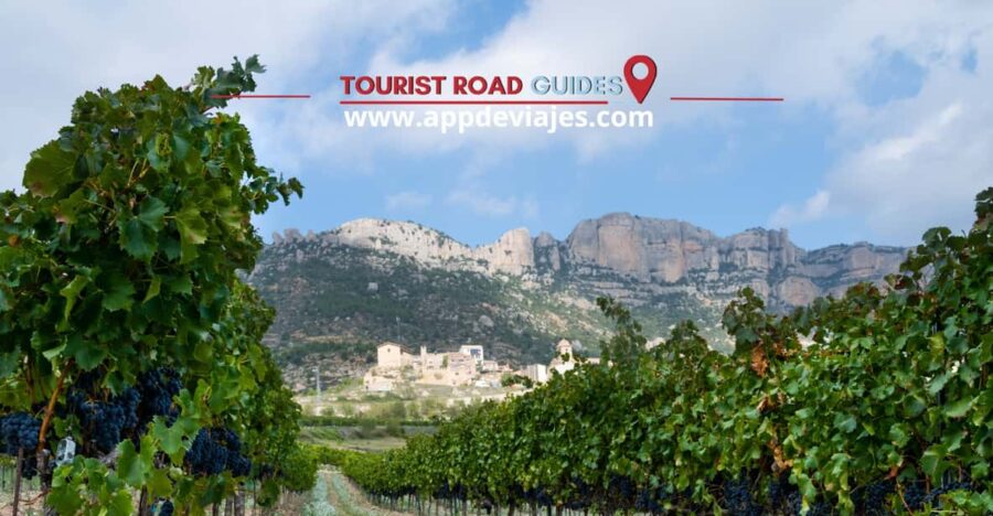 From Salou: Siurana Castle and Cornudella Winery - Tour Overview