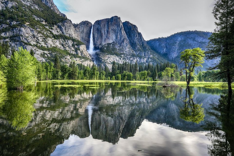 From San Francisco: Day Trip to Yosemite National Park - Tour Overview