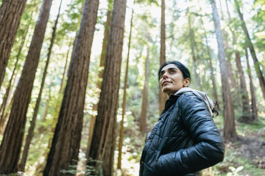 From San Francisco: Guided Muir Woods Tour - Tour Overview and Pricing
