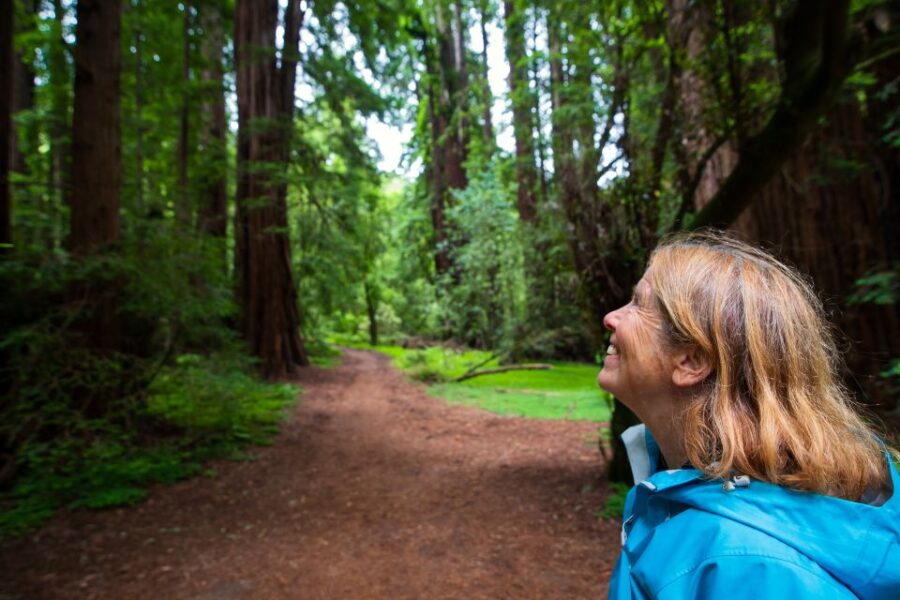 From San Francisco: Muir Woods Redwood Forest Tour - Tour Overview and Pricing
