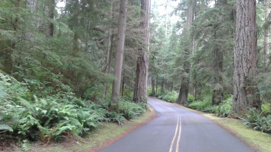 From Seattle: Whidbey Island and Deception Pass Private Tour