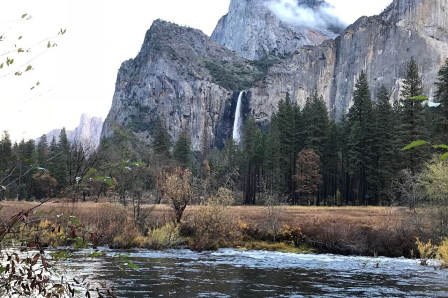 From Sf: Yosemite Day Trip With Giant Sequoias Hike & Pickup - Tour Highlights