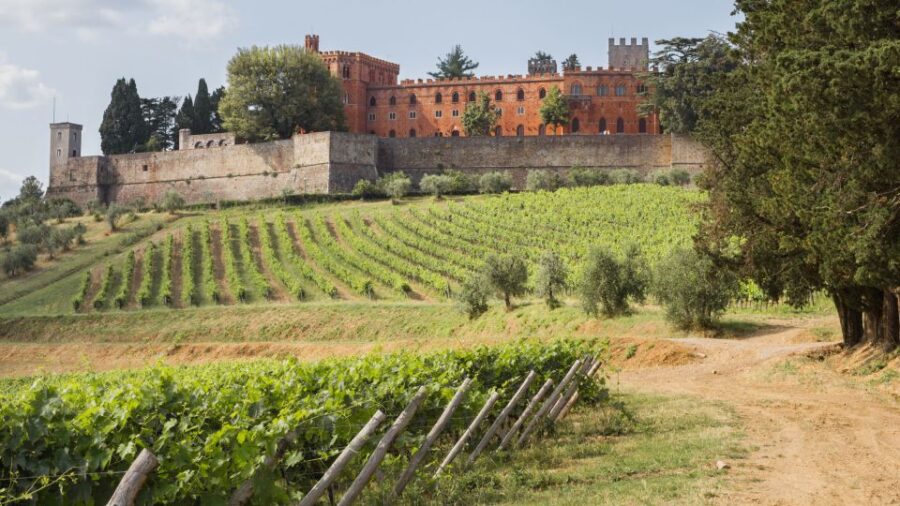 From Siena: Chianti Wine Tour With Lunch