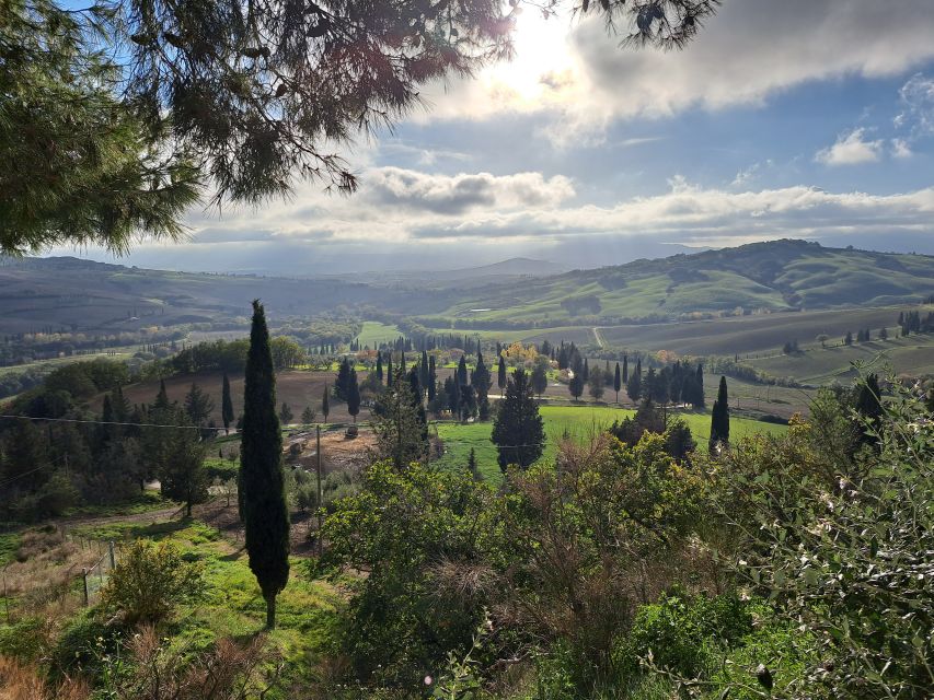 From Siena: Pienza and Montepulciano Small-Group Tour