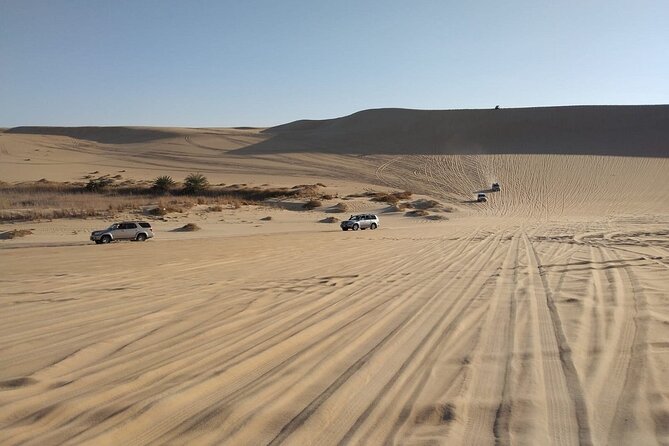 From Siwa: Sunset Desert Safari, Sand-board, Hot Spring & Dinner at Desert Camp