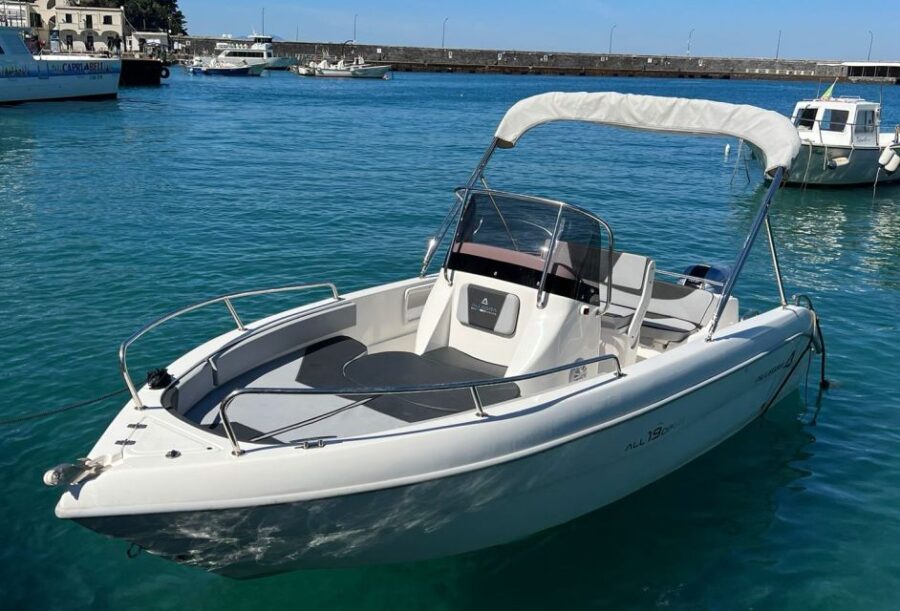 From Sorrento: Full Day Capri Private Boat Trip With Drinks