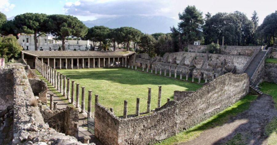 From Sorrento: Skip-the-Line Pompeii Tour and Vineyard Lunch