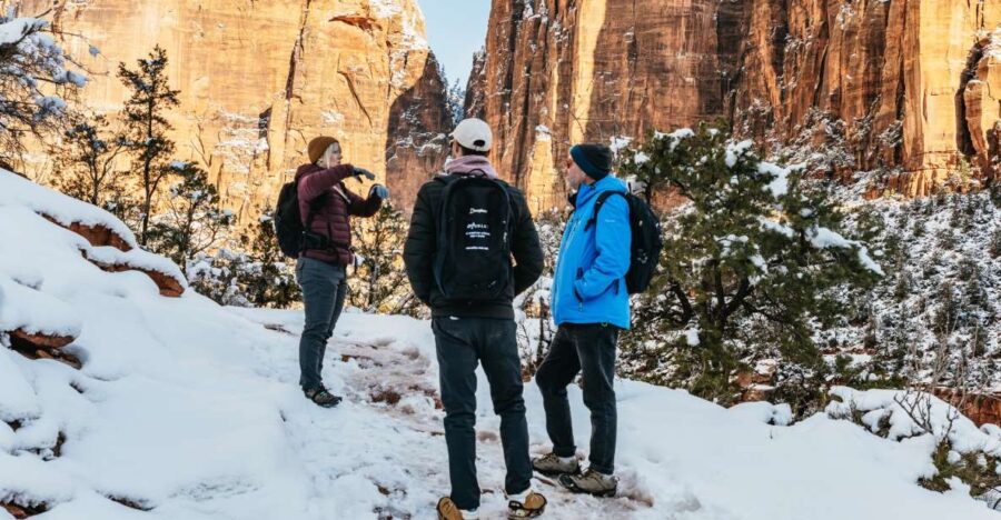 From Springdale: 4-hour Zion Canyon Scenic Hiking Tour