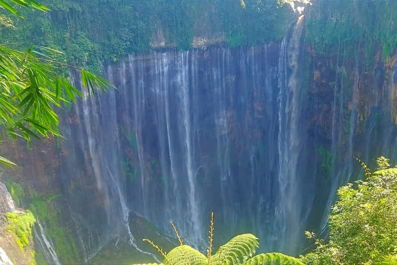 From Surabaya/Malang : Bromo, Tumpaksewu Waterfall in 2 Days