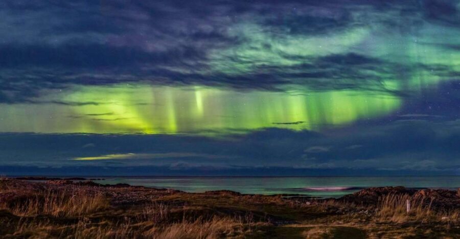 From Svolvær: Guided Northern Lights Tour by Van