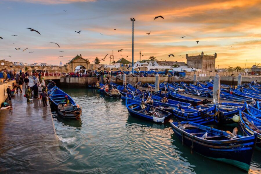 10 Best Guided Tours In Taghazout