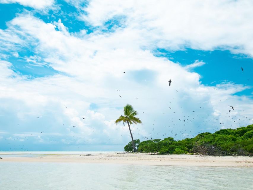 From Tahiti: Tetiaroa Island Tour by Sailing Catamaran - Tour Overview