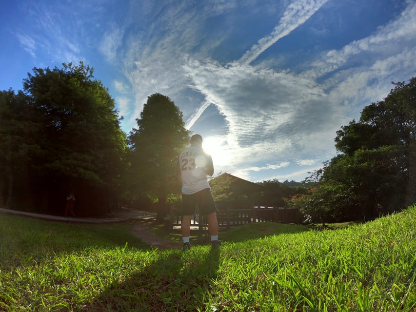 From Taipei: Private Yangmingshan Volcano and Nature Tour