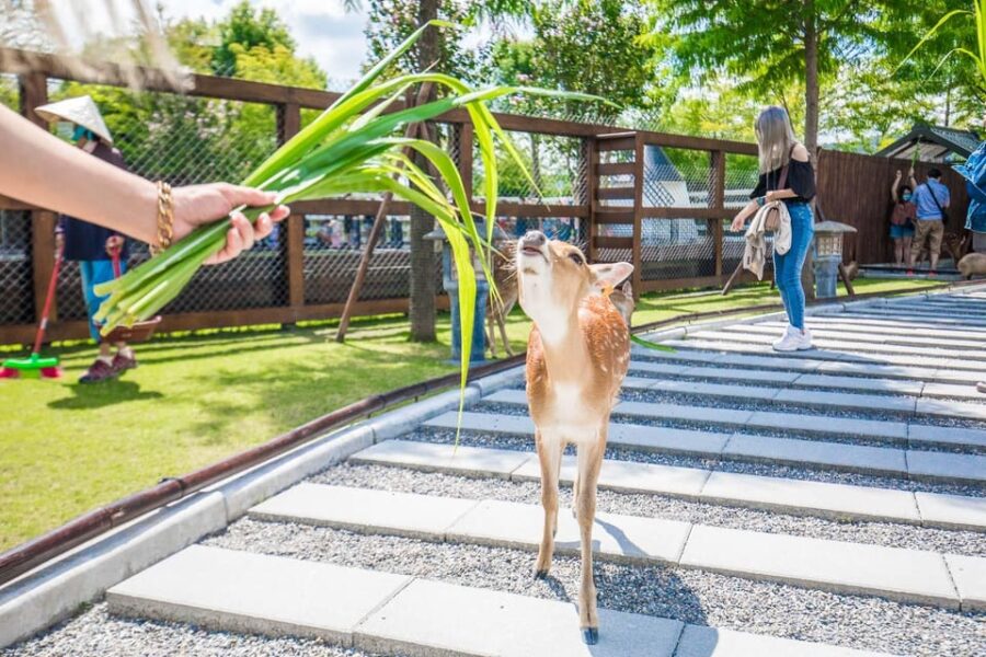 From Taipei: Yilan Funny Animal & Natural Day Tour