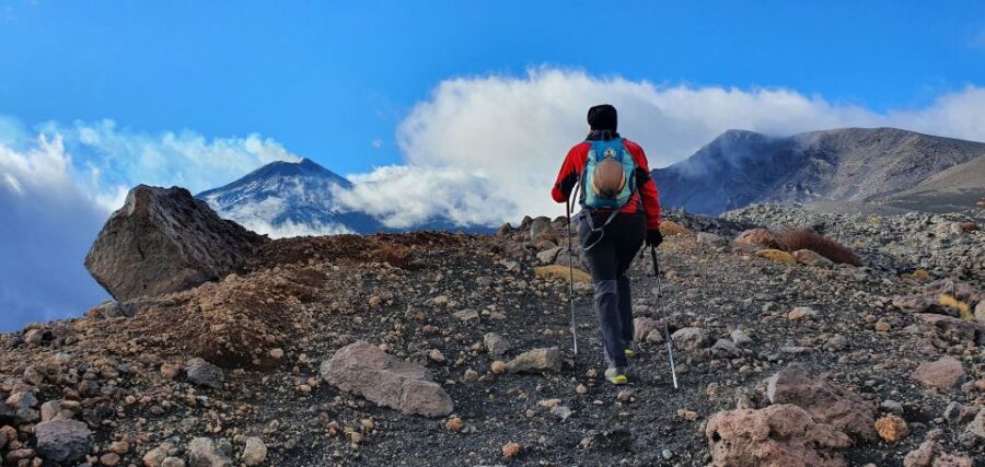 From Taormina or Catania: Private Full-Day Mount Etna Hike - Tour Overview and Pricing