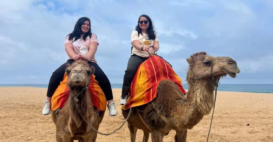 From Tarifa: 2 Days 1 Night to Chefchaouen All Inclusive