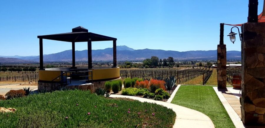 From Tijuana: Valle De Guadalupe Private Winery Tour - Tour Overview