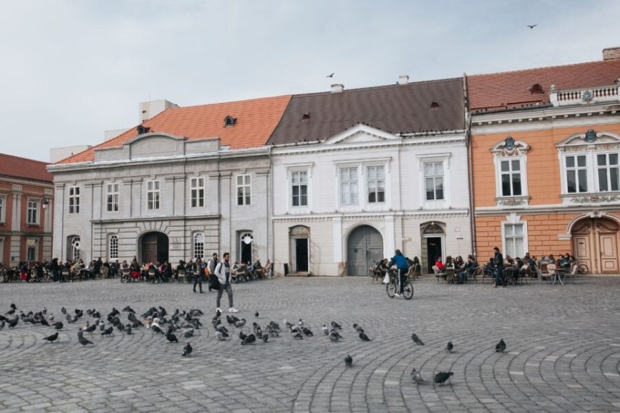 From Timisoara: Private Day Trip to Arad