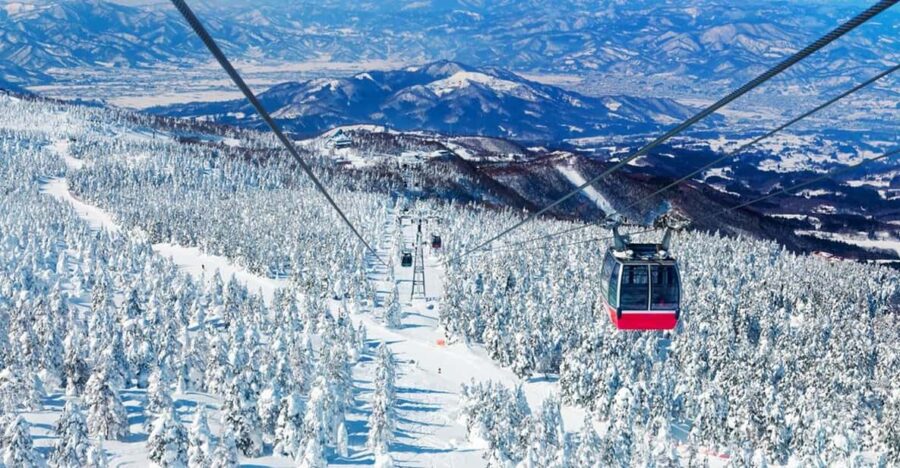 From Tokyo: Ginzan Onsen, Zao Snow Monsters 2-Day Tour - Tour Overview