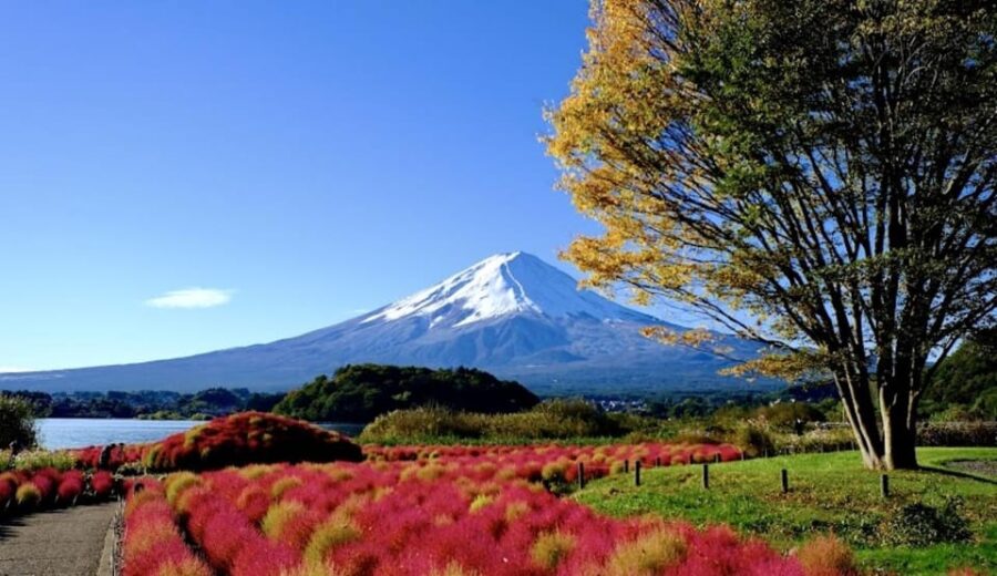 From Tokyo: Hakone 1 Day Private Tour With English Driver