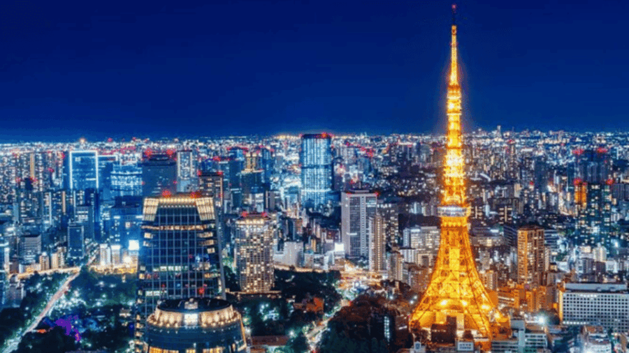 From Tokyo: Luxury Tokyo Private City Tour In Land Cruiser