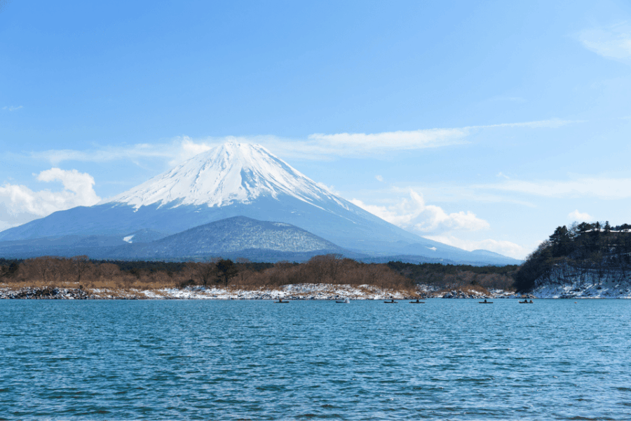 From Tokyo: Mount Fuji and Fuji 5 Lakes Private Guided Tour - Overview of the Tour