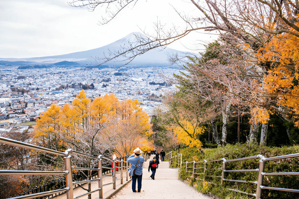 From Tokyo: Mount Fuji and Hakone Full Day Trip - Pickup and Drop-off Options